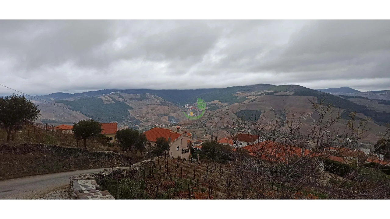 Terreno para Venda em Valença do Douro Foto 4