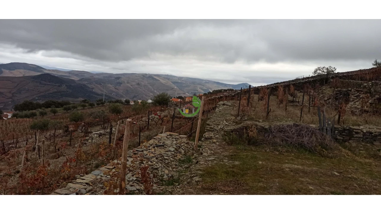 Terreno para Venda em Valença do Douro Foto 6
