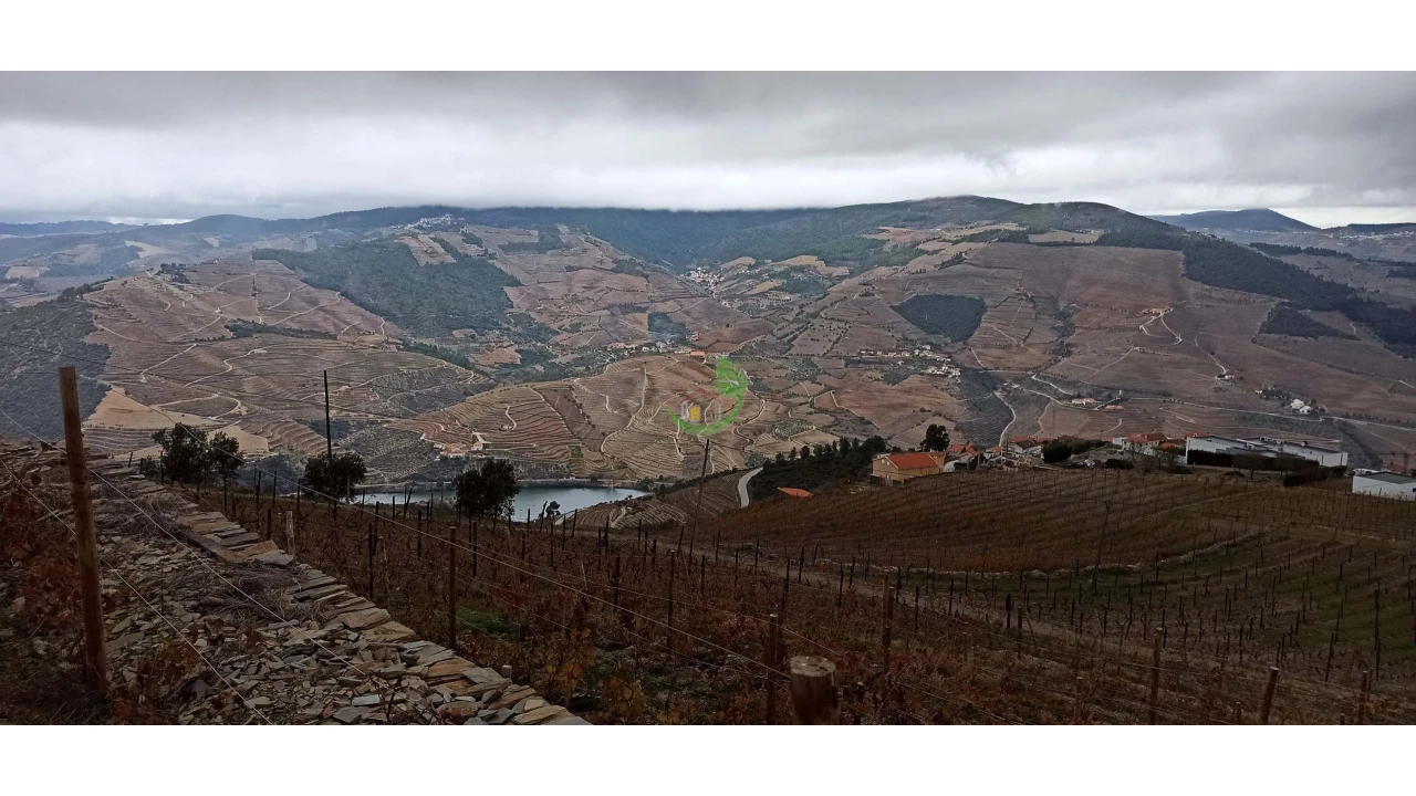 Terreno para Venda em Valença do Douro Foto 8