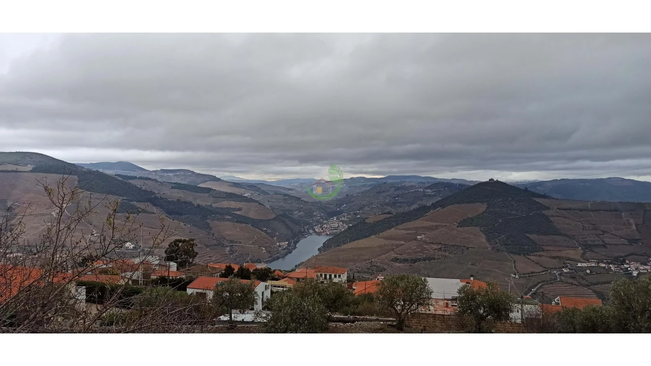 Terreno para Venda em Valença do Douro Foto 2
