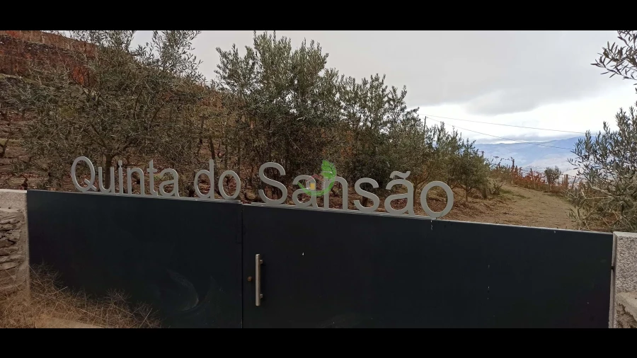 Terreno para Venda em Valença do Douro