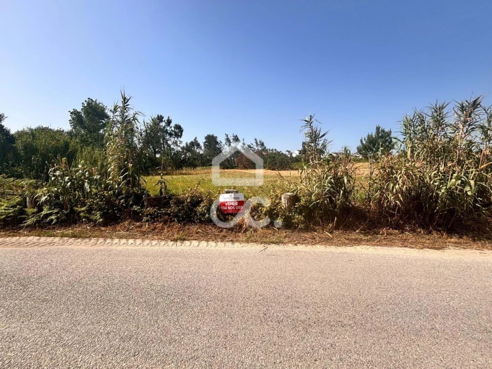 Terreno para Venda em Vieira de Leiria Foto 2