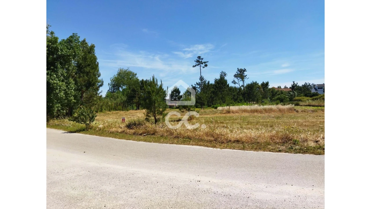 Terreno para Venda em Vieira de Leiria Foto 8
