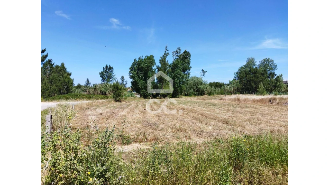 Terreno para Venda em Vieira de Leiria Foto 13