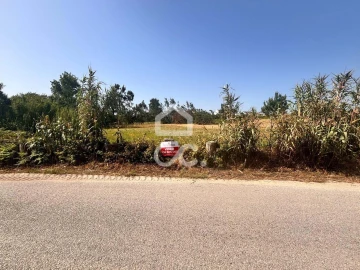 Terreno para Venda em Vieira de Leiria