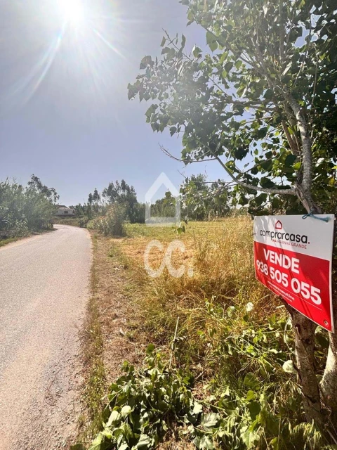 Terreno para Venda em Vieira de Leiria
