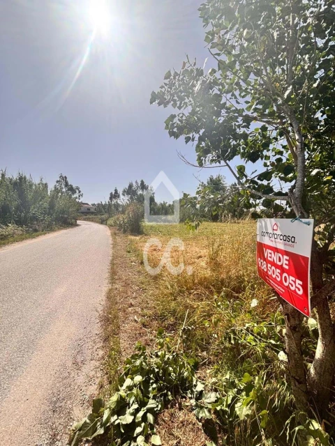 Terreno para Venda em Vieira de Leiria