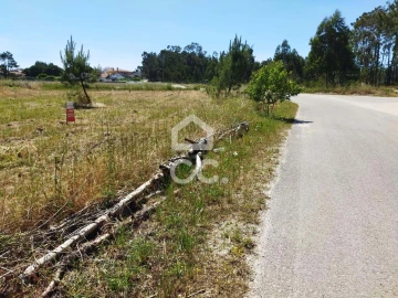 Terreno para Venda em Vieira de Leiria