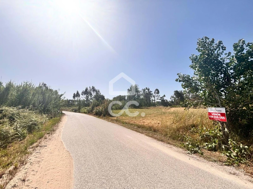 Terreno para Venda em Vieira de Leiria Foto 1