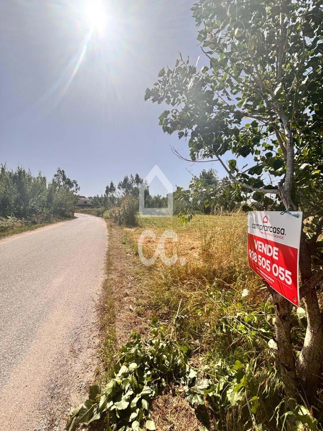 Terreno para Venda em Vieira de Leiria Foto 3