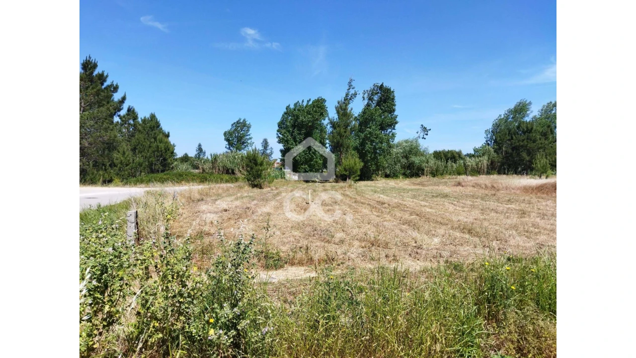 Terreno para Venda em Vieira de Leiria Foto 4