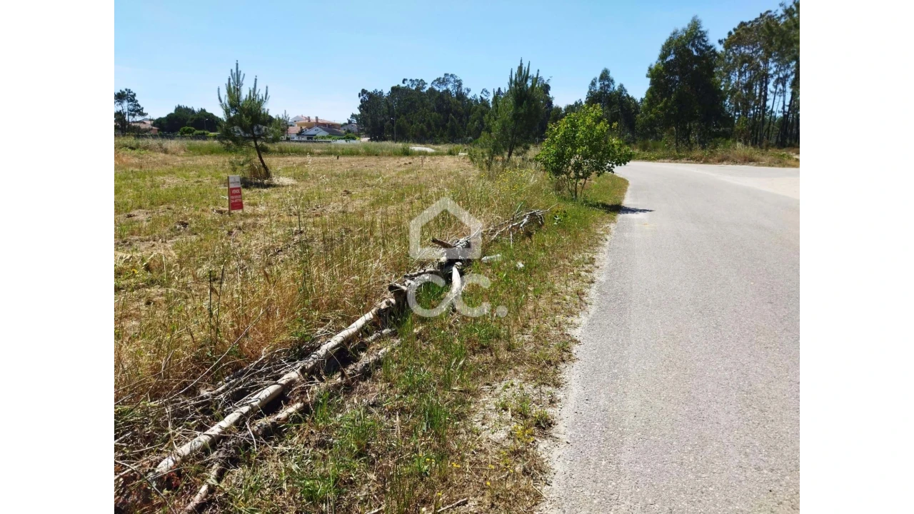 Terreno para Venda em Vieira de Leiria Foto 1