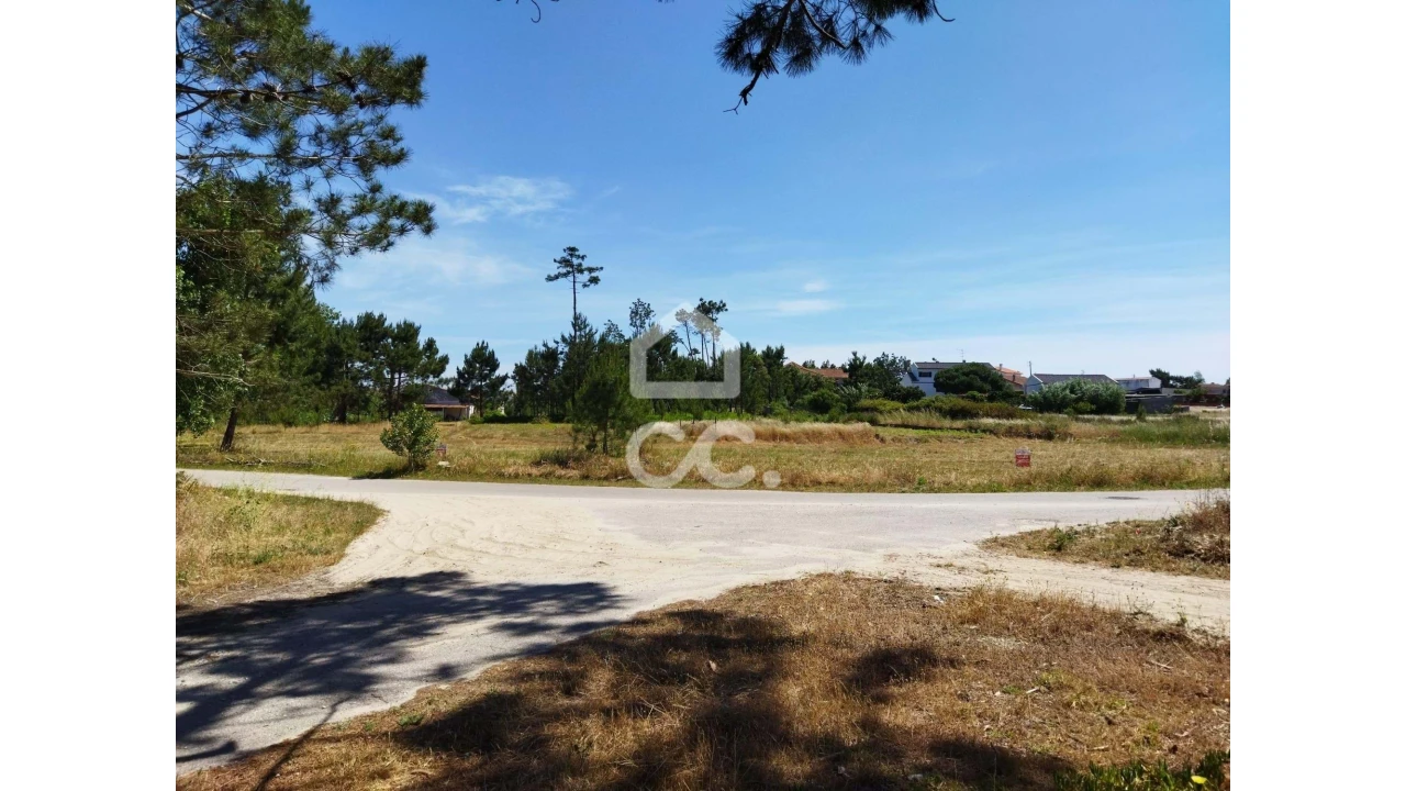 Terreno para Venda em Vieira de Leiria Foto 7