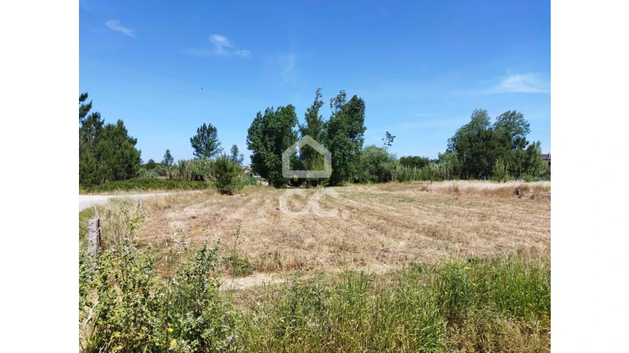 Terreno para Venda em Vieira de Leiria Foto 13