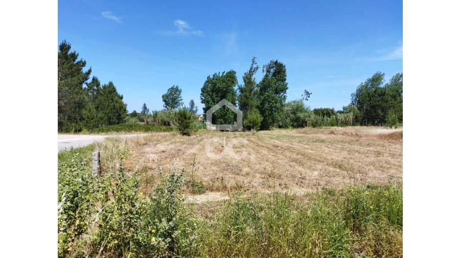 Terreno para Venda em Vieira de Leiria Foto 4