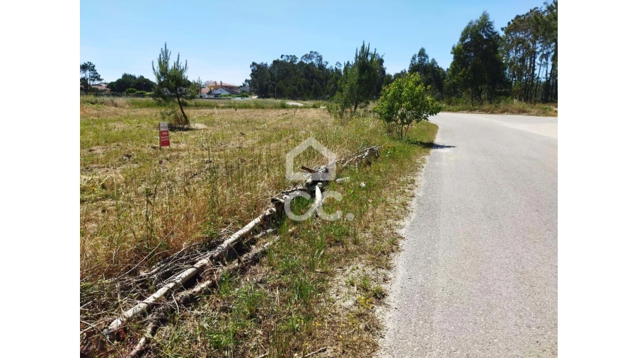 Terreno para Venda em Vieira de Leiria Foto 1