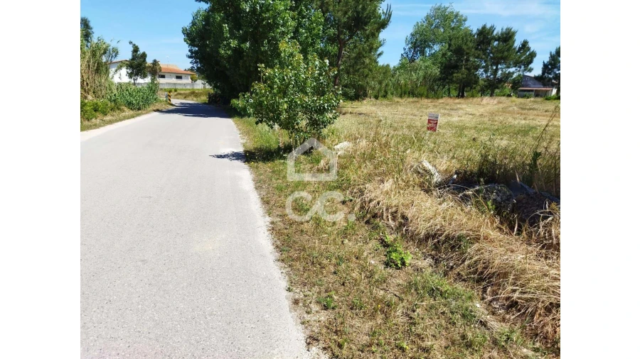 Terreno para Venda em Vieira de Leiria Foto 3