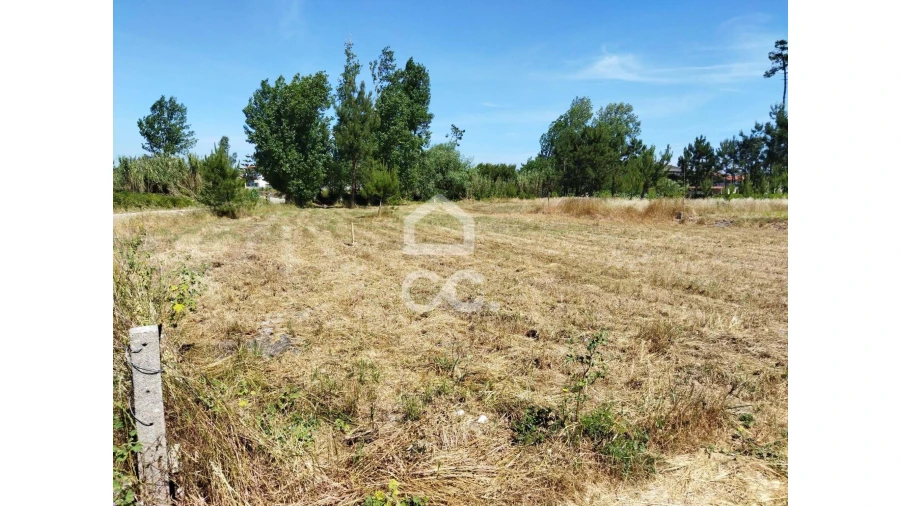 Terreno para Venda em Vieira de Leiria Foto 12