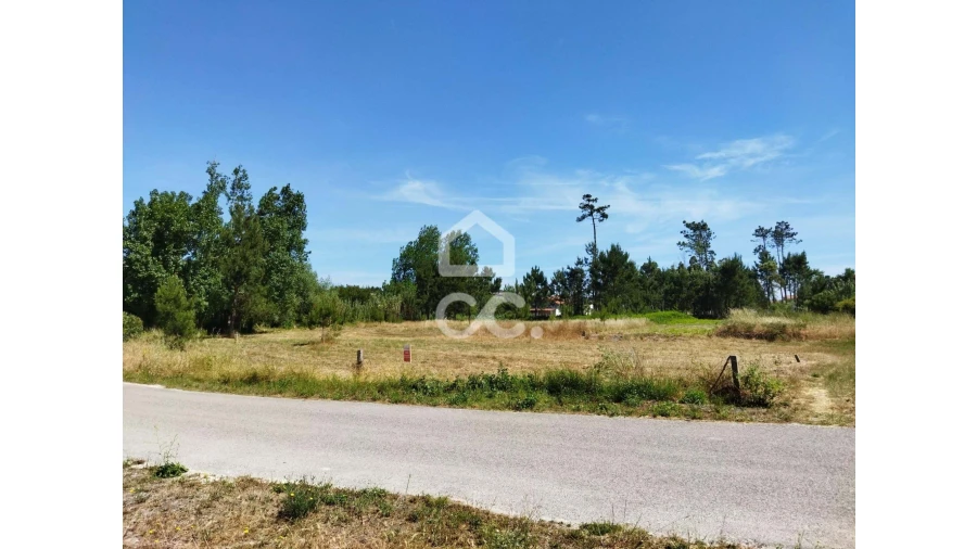 Terreno para Venda em Vieira de Leiria Foto 9