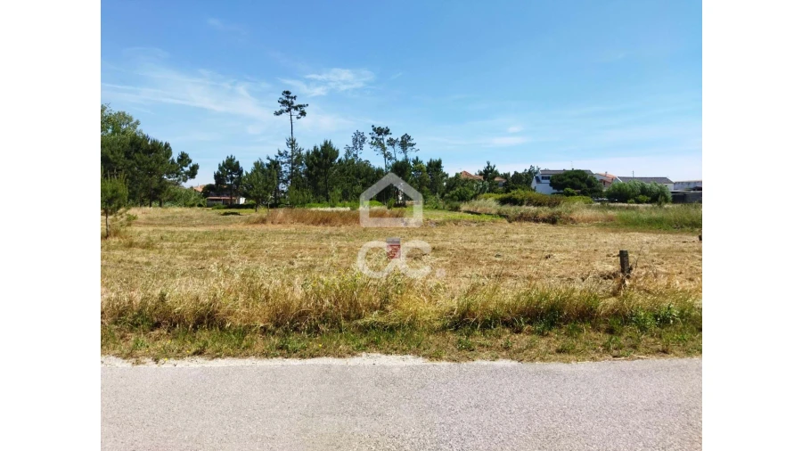Terreno para Venda em Vieira de Leiria Foto 10