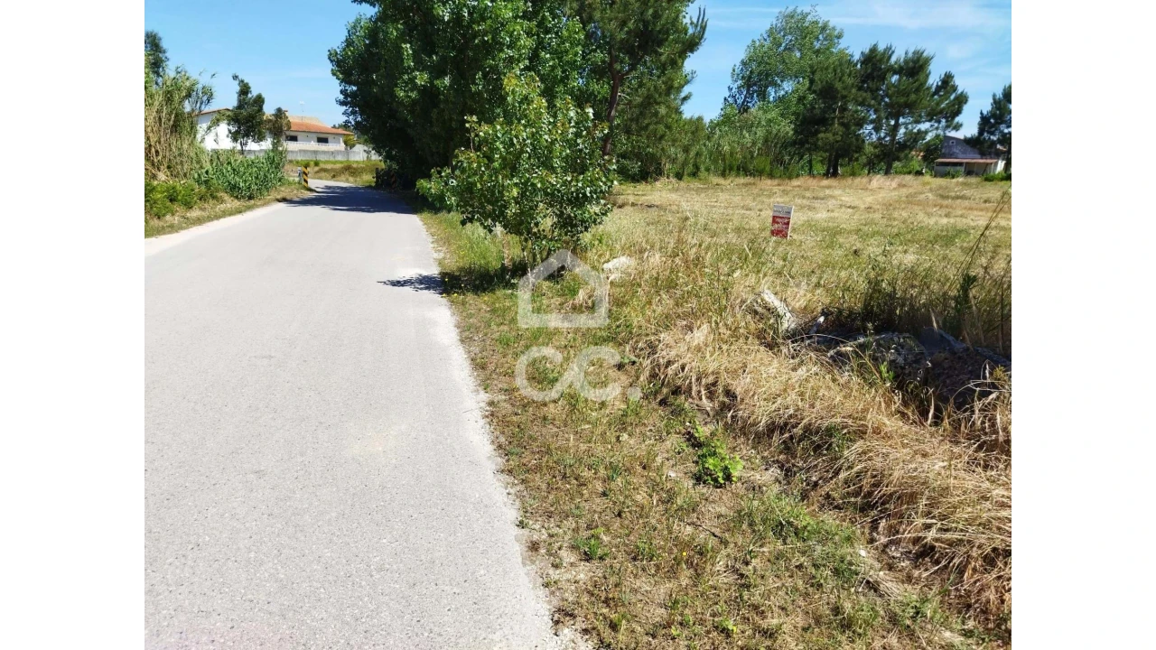 Terreno para Venda em Vieira de Leiria Foto 3