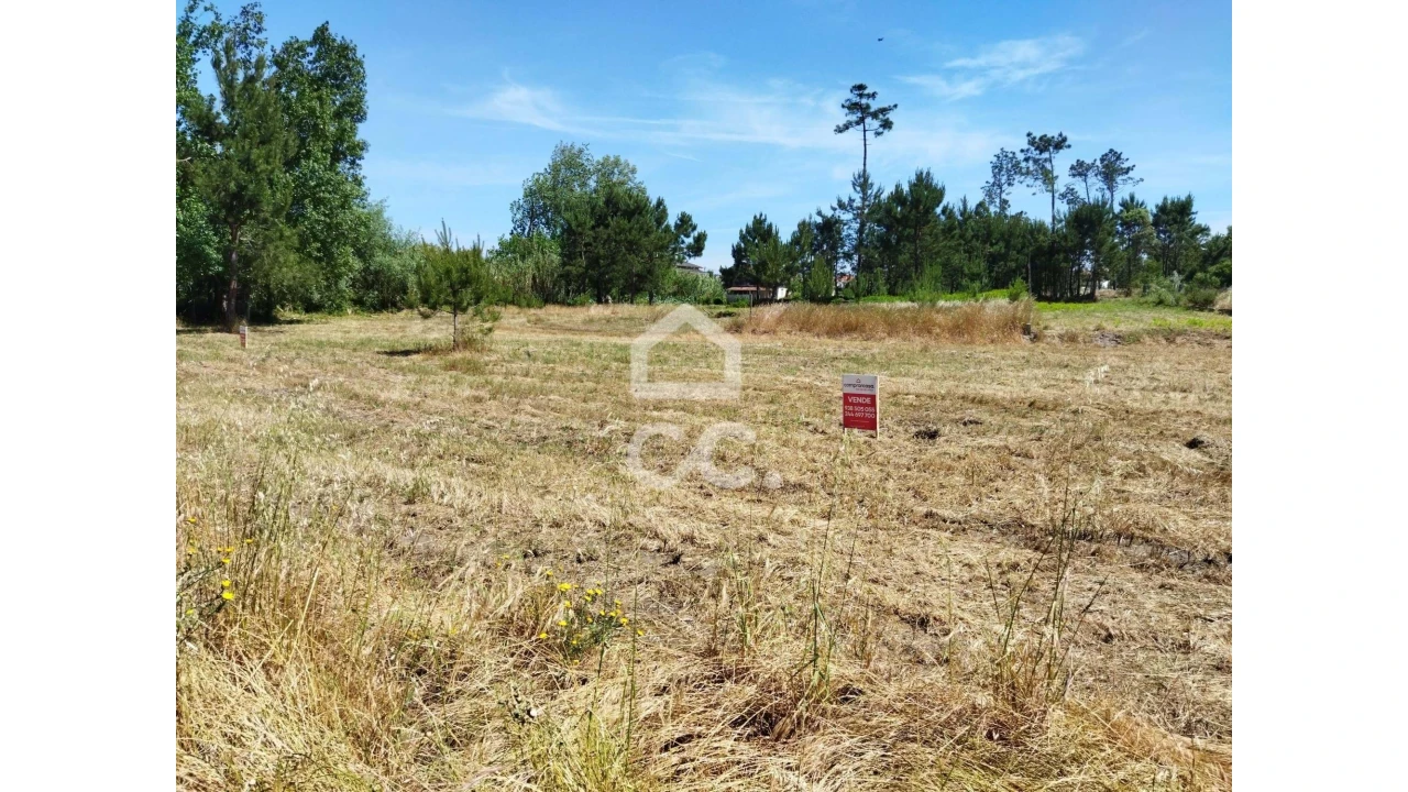 Terreno para Venda em Vieira de Leiria Foto 11
