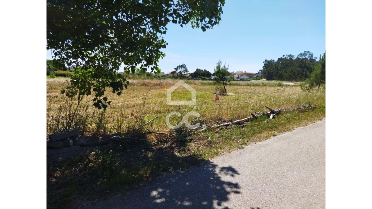 Terreno para Venda em Vieira de Leiria Foto 5