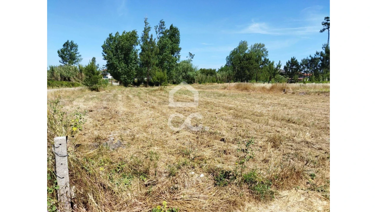 Terreno para Venda em Vieira de Leiria Foto 12