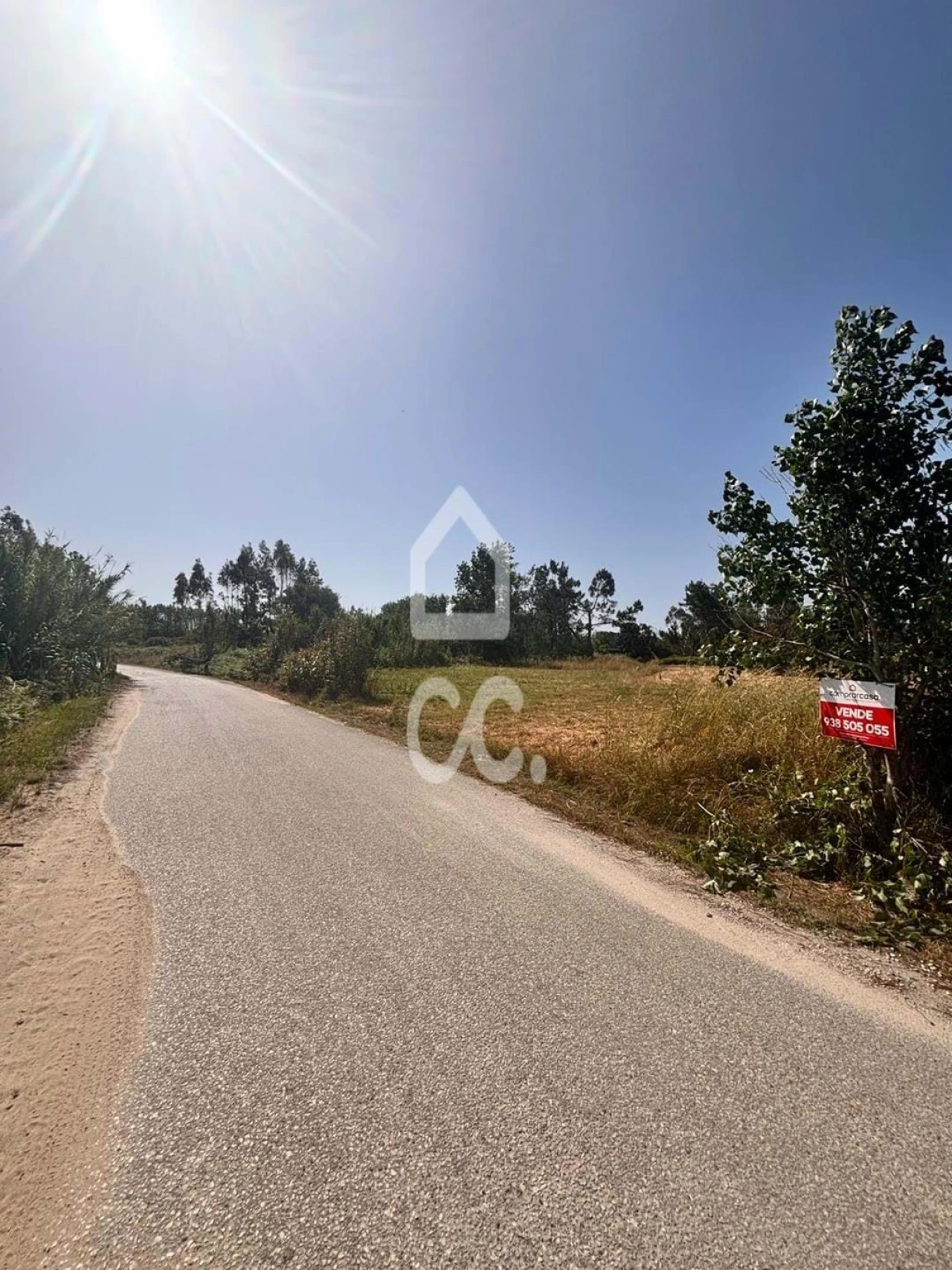 Terreno para Venda em Vieira de Leiria Foto 4