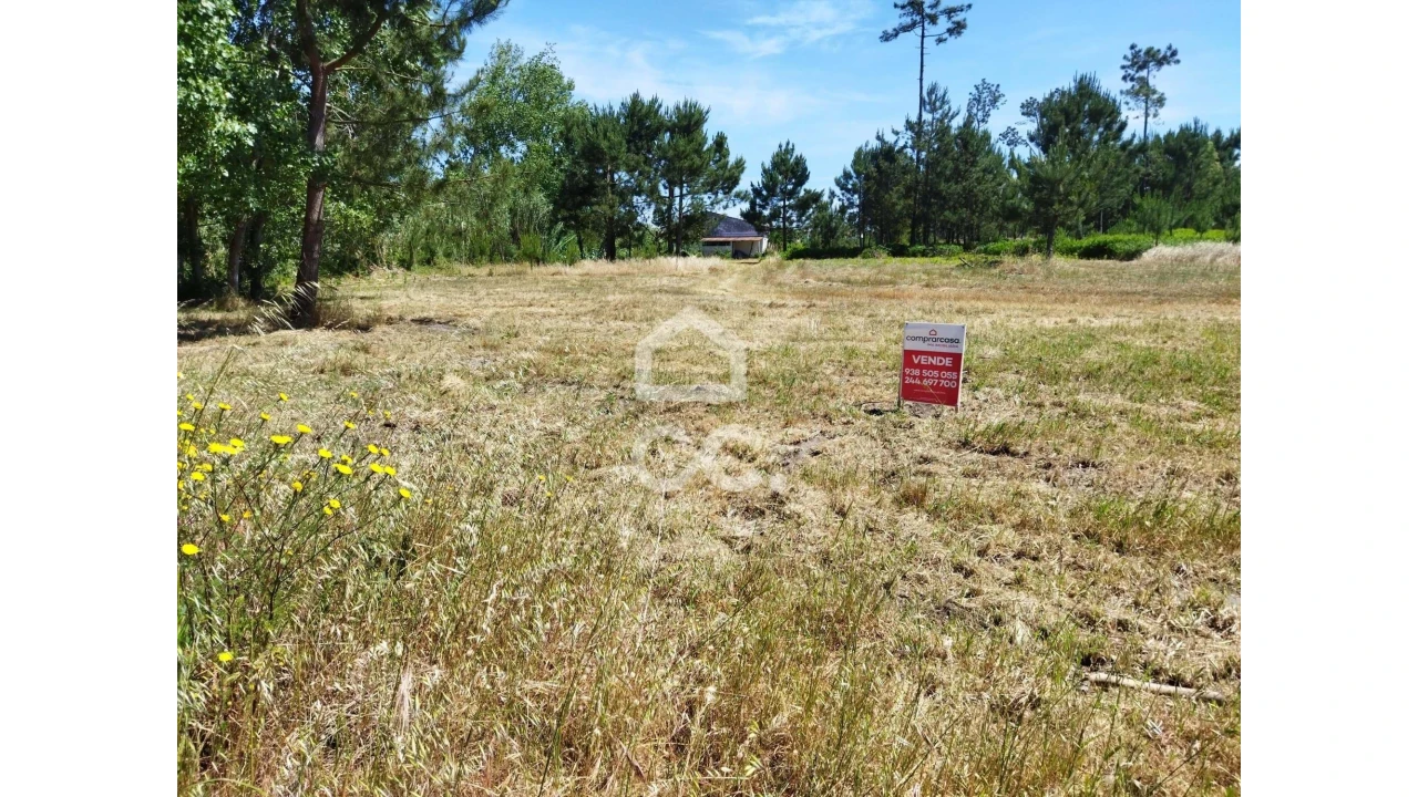 Terreno para Venda em Vieira de Leiria Foto 2