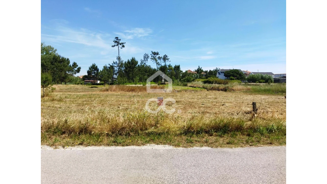 Terreno para Venda em Vieira de Leiria Foto 10