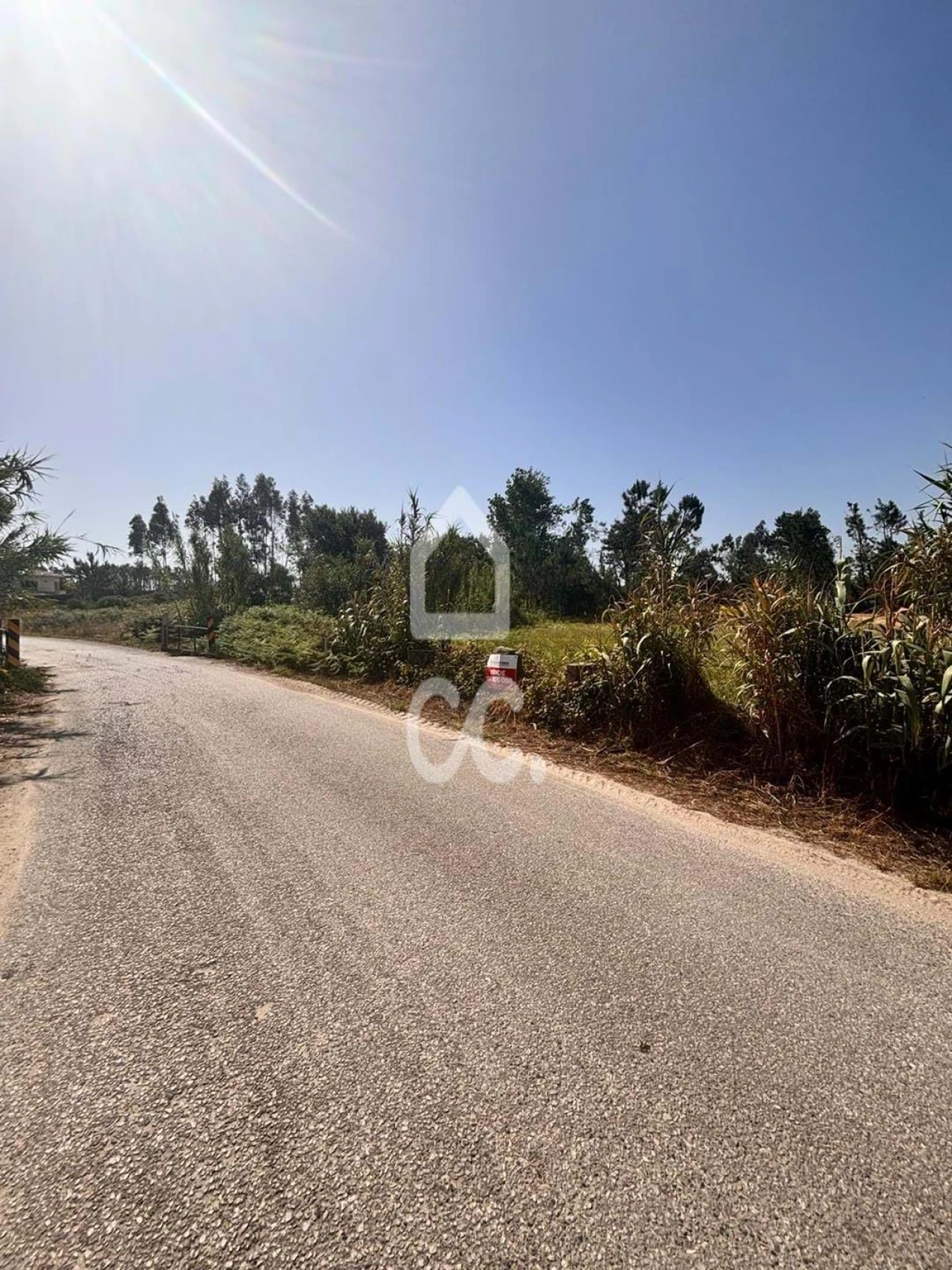 Terreno para Venda em Vieira de Leiria Foto 6