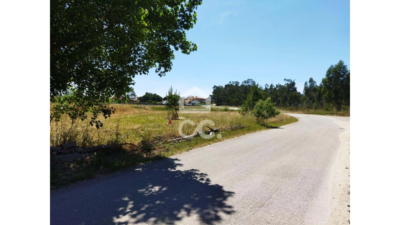 Terreno para Venda em Vieira de Leiria Foto 6
