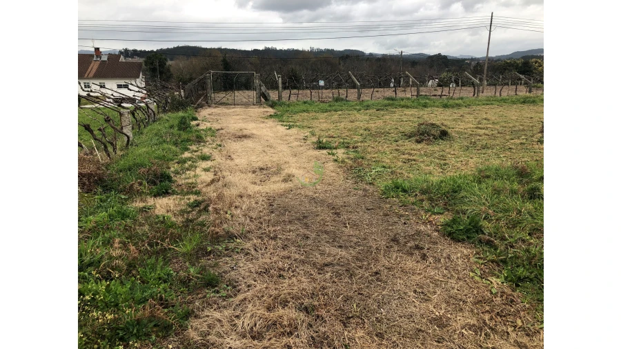 Terreno para Venda em Ganfei Foto 1