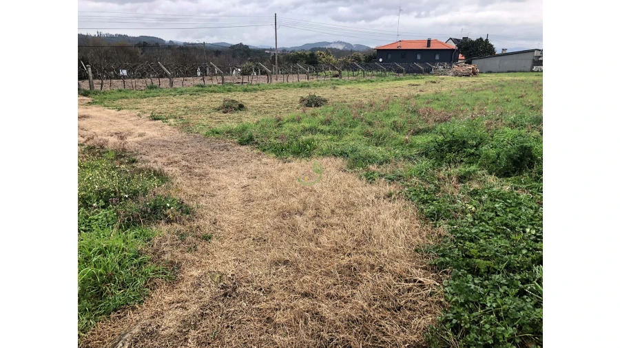 Terreno para Venda em Ganfei Foto 5
