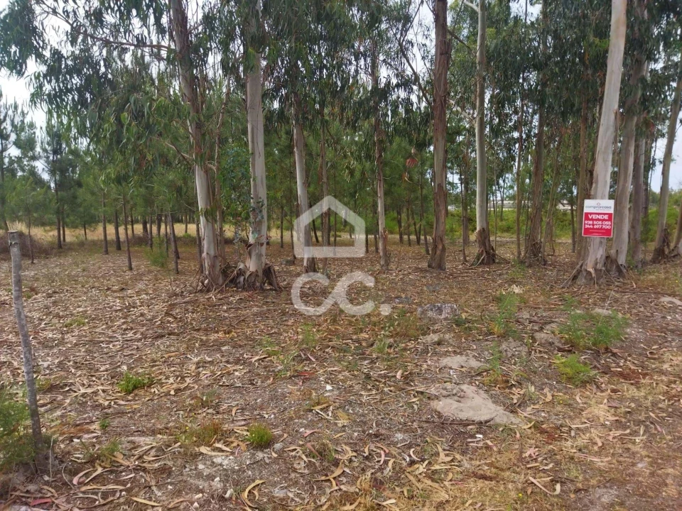 Terreno para Venda em Vieira de Leiria Foto 10