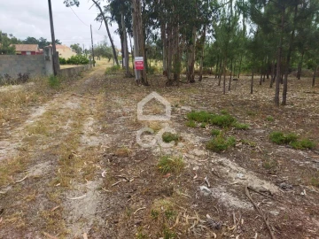 Terreno para Venda em Vieira de Leiria