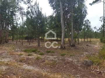 Terreno para Venda em Vieira de Leiria