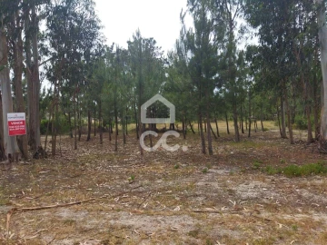 Terreno para Venda em Vieira de Leiria