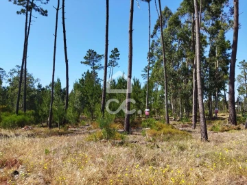 Terreno para Venda em Vieira de Leiria