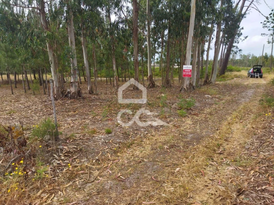 Terreno para Venda em Vieira de Leiria Foto 1