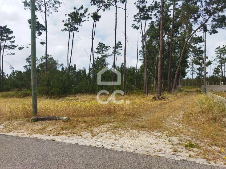 Terreno para Venda em Vieira de Leiria Foto 12