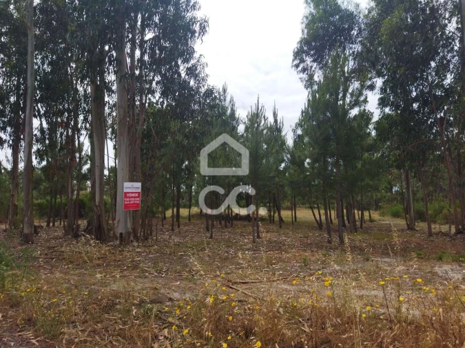 Terreno para Venda em Vieira de Leiria Foto 7