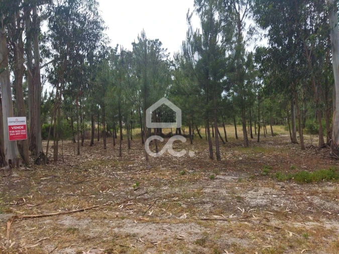 Terreno para Venda em Vieira de Leiria Foto 8