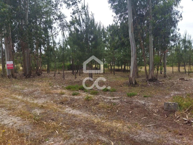 Terreno para Venda em Vieira de Leiria Foto 3