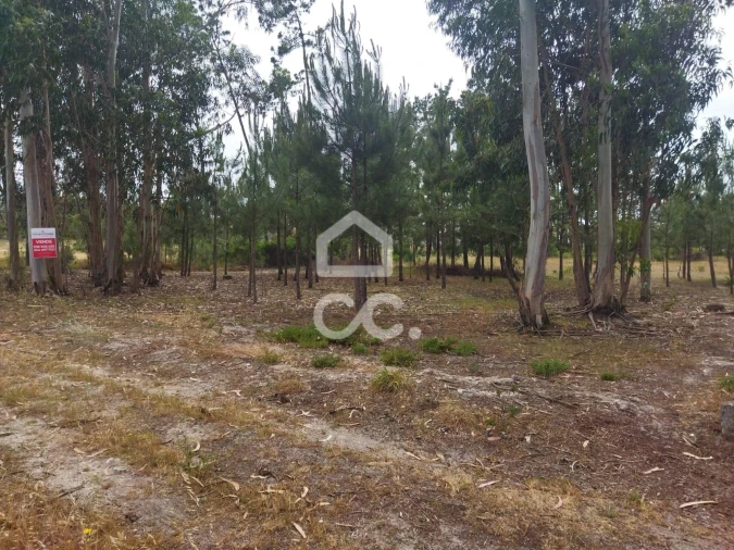 Terreno para Venda em Vieira de Leiria Foto 5