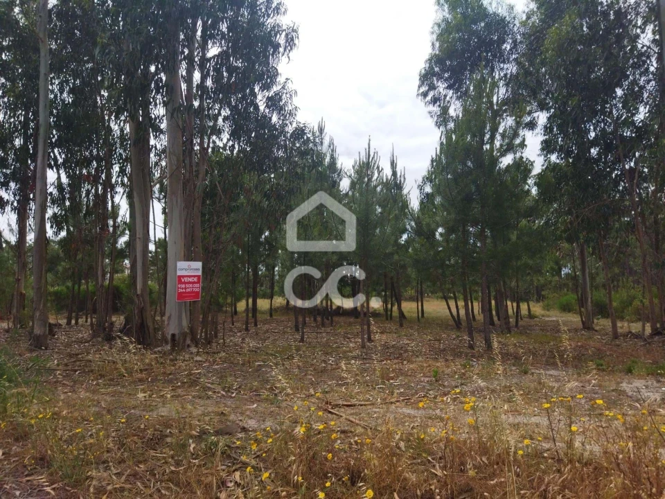 Terreno para Venda em Vieira de Leiria Foto 7