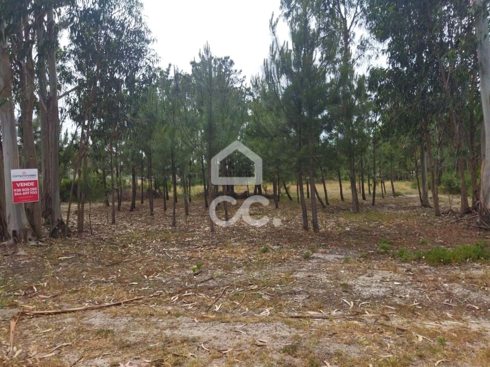 Terreno para Venda em Vieira de Leiria Foto 8