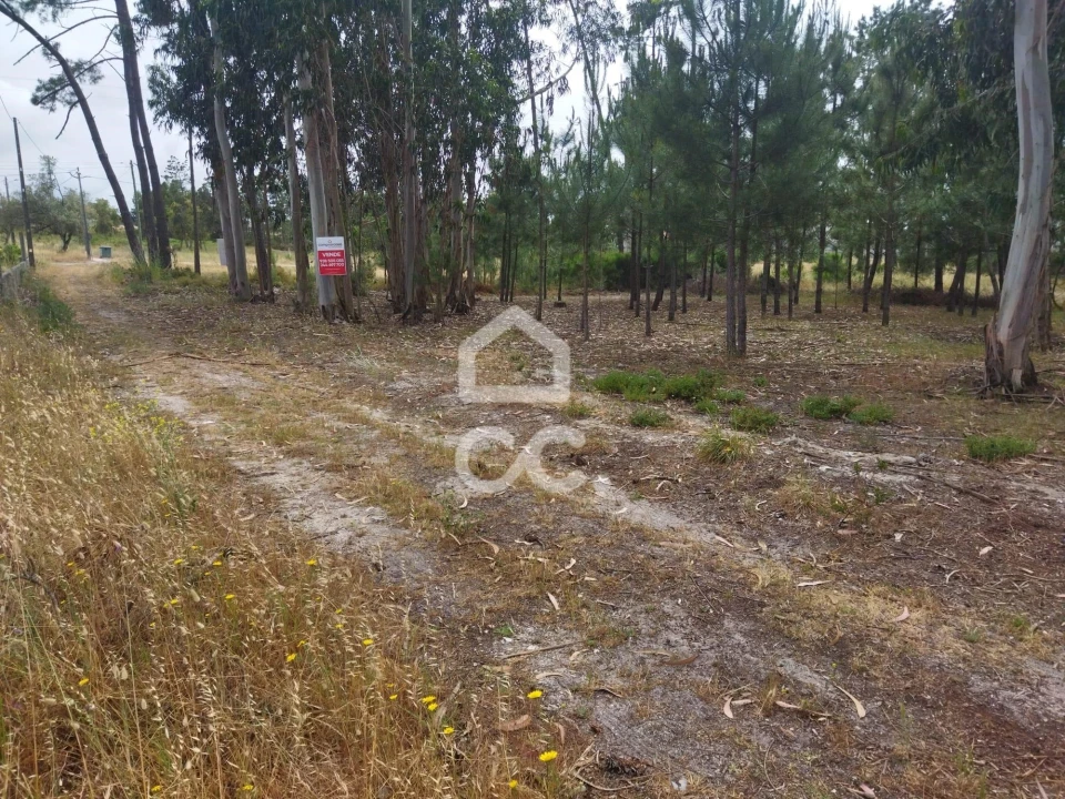 Terreno para Venda em Vieira de Leiria Foto 4