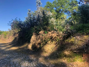 Terreno para Venda em Seixas